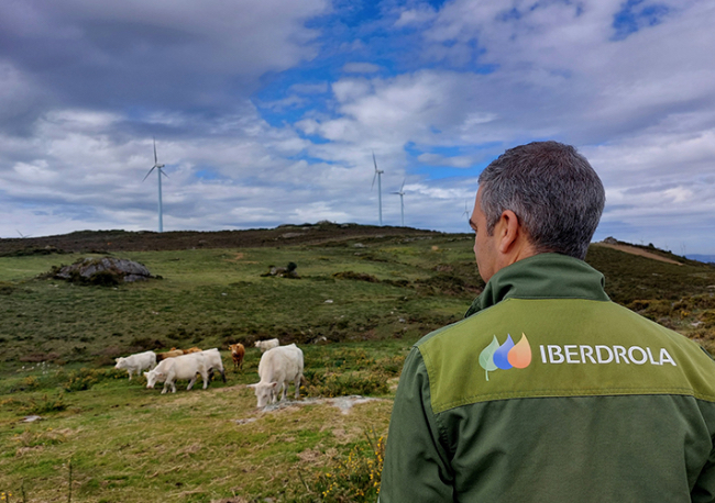 Foto Iberdrola presenta en la Cumbre Mundial de Biodiversidad en Canadá su plan para alcanzar un impacto positivo en biodiversidad en 2030.